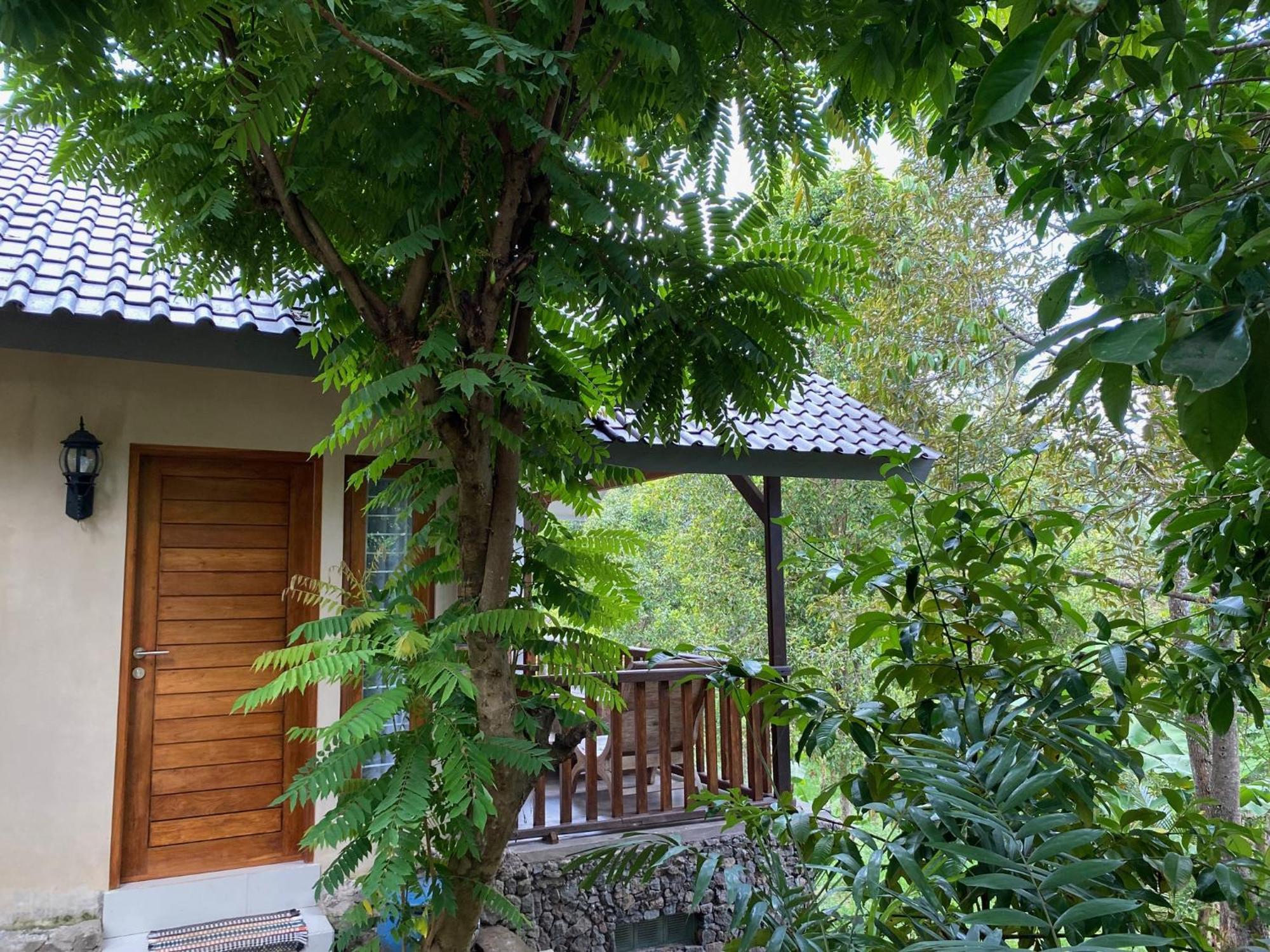 Mayong Bali Villa And Hostel Munduk Zewnętrze zdjęcie
