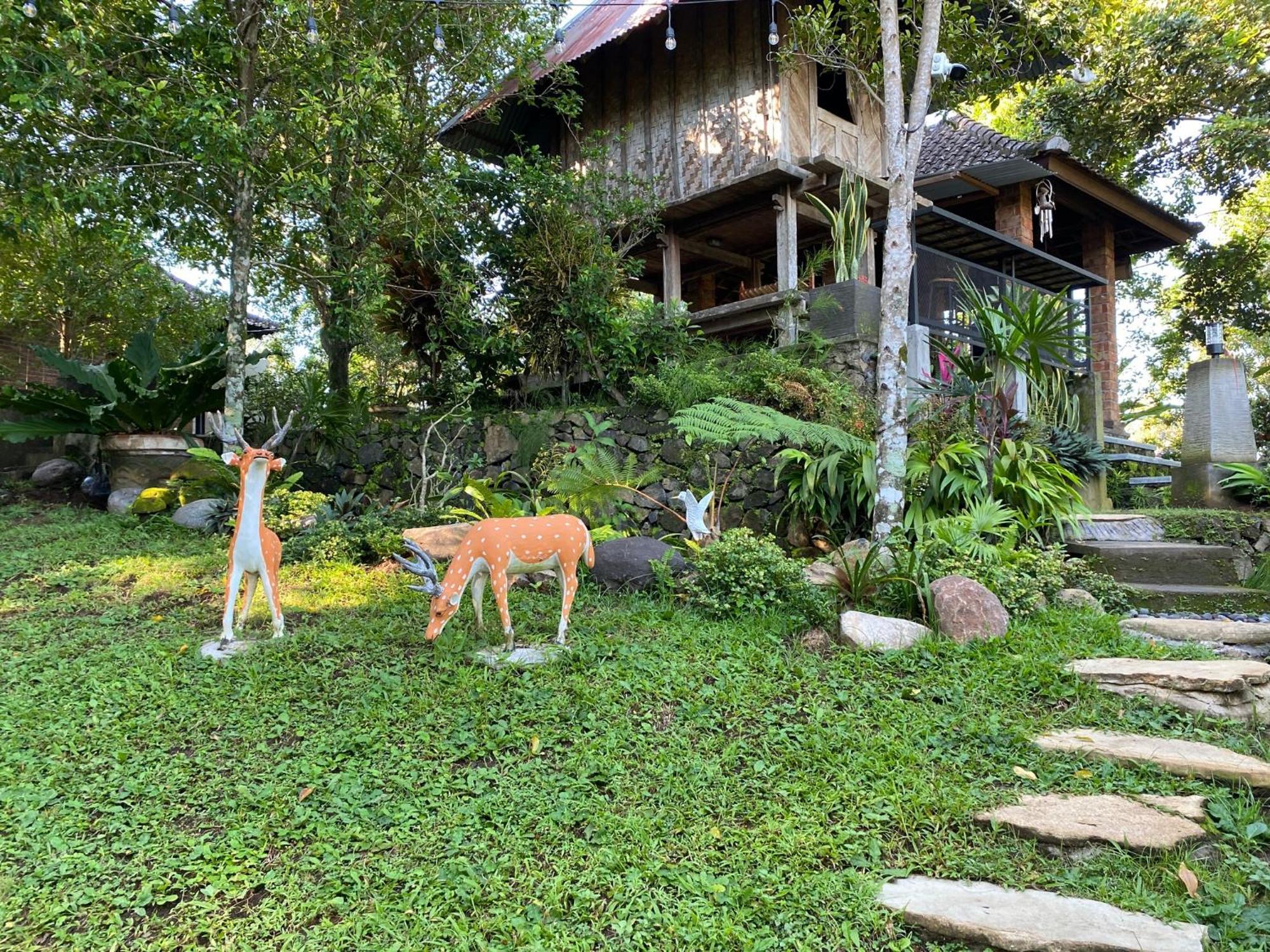 Mayong Bali Villa And Hostel Munduk Zewnętrze zdjęcie